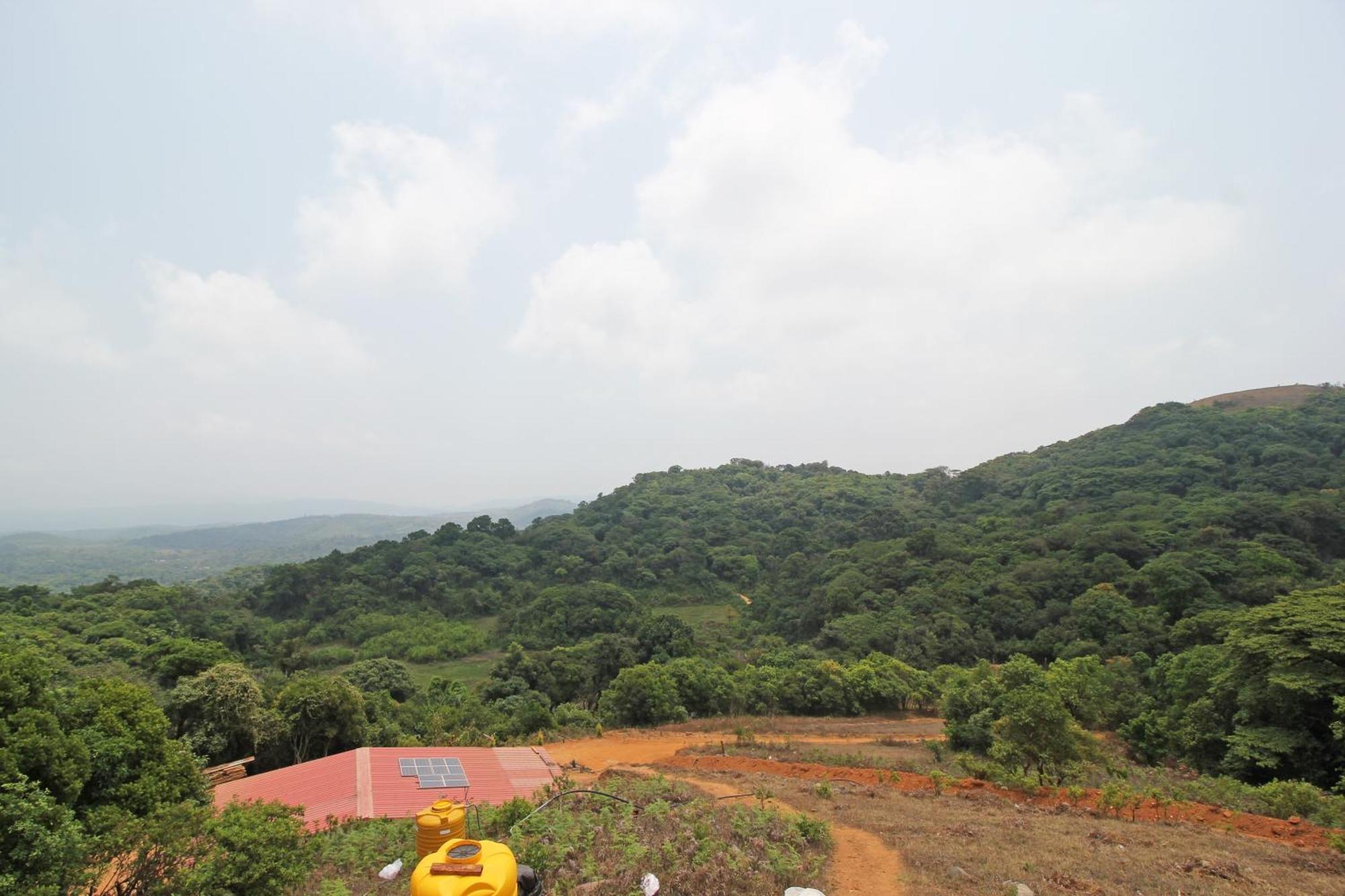 Capital O Coorg Treehouse Hotell Madikeri Eksteriør bilde