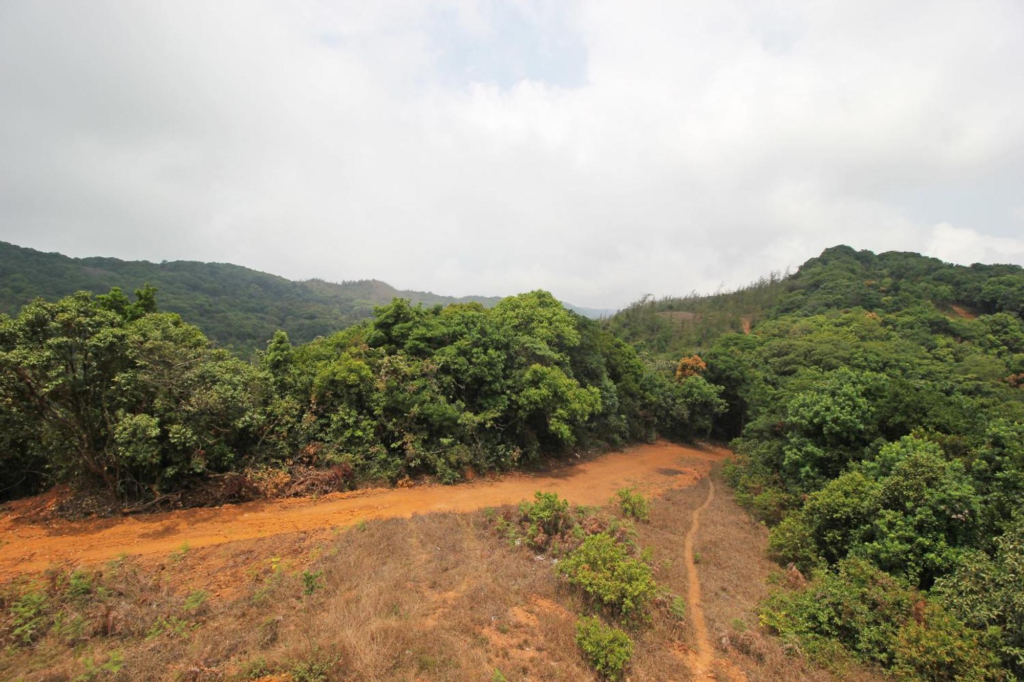 Capital O Coorg Treehouse Hotell Madikeri Eksteriør bilde